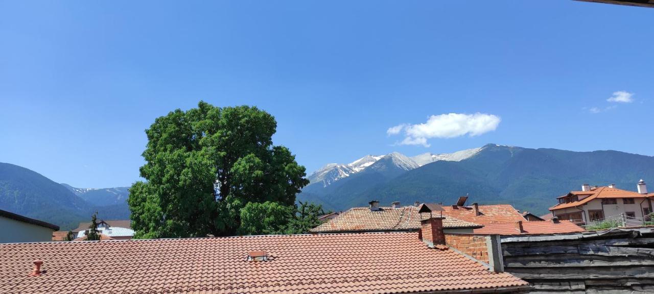 Kesta Za Gosti Plevnyata Villa Bansko Exterior photo